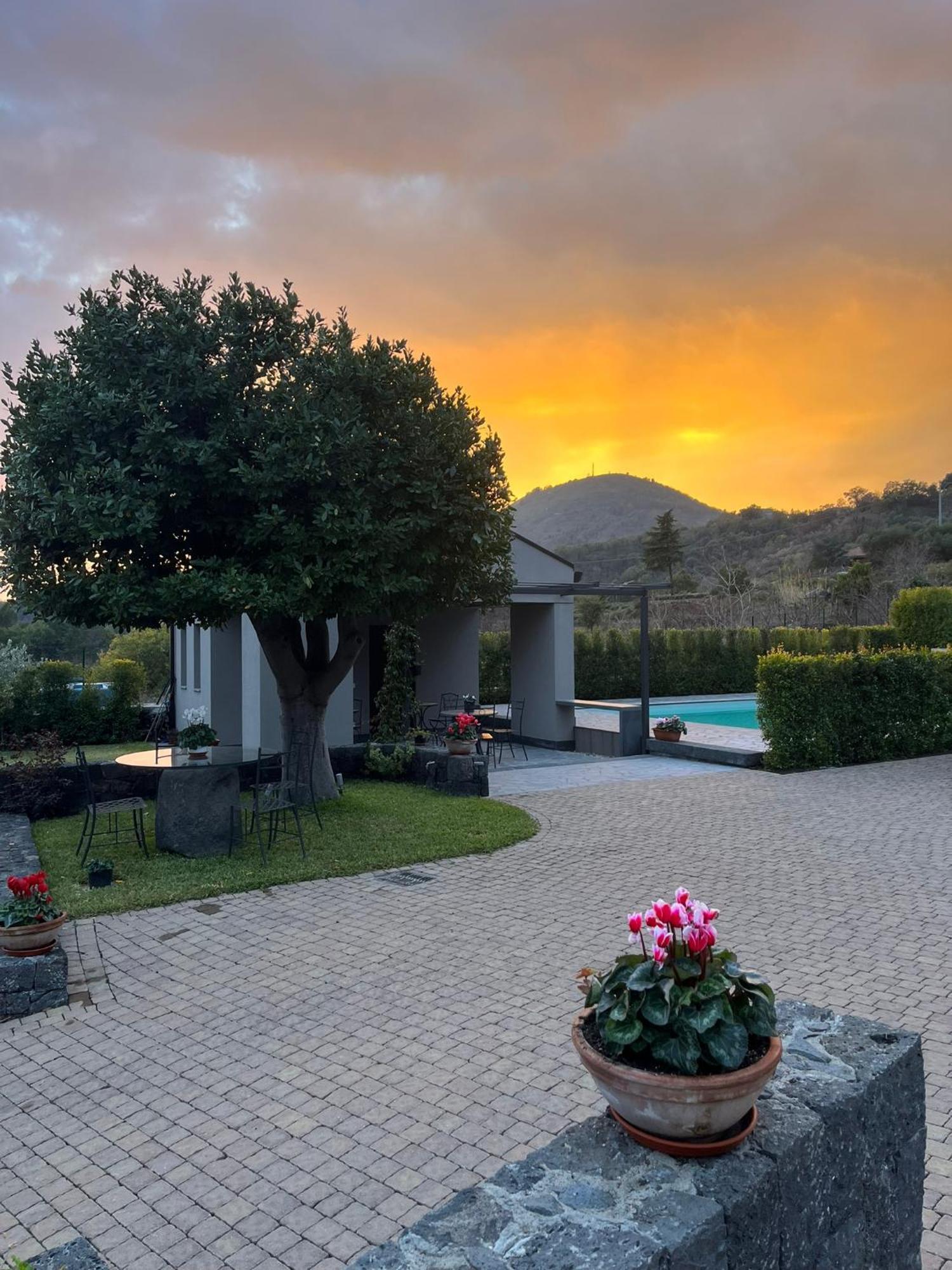 La Casa Dell'Alloro Zafferana Etnea Dış mekan fotoğraf
