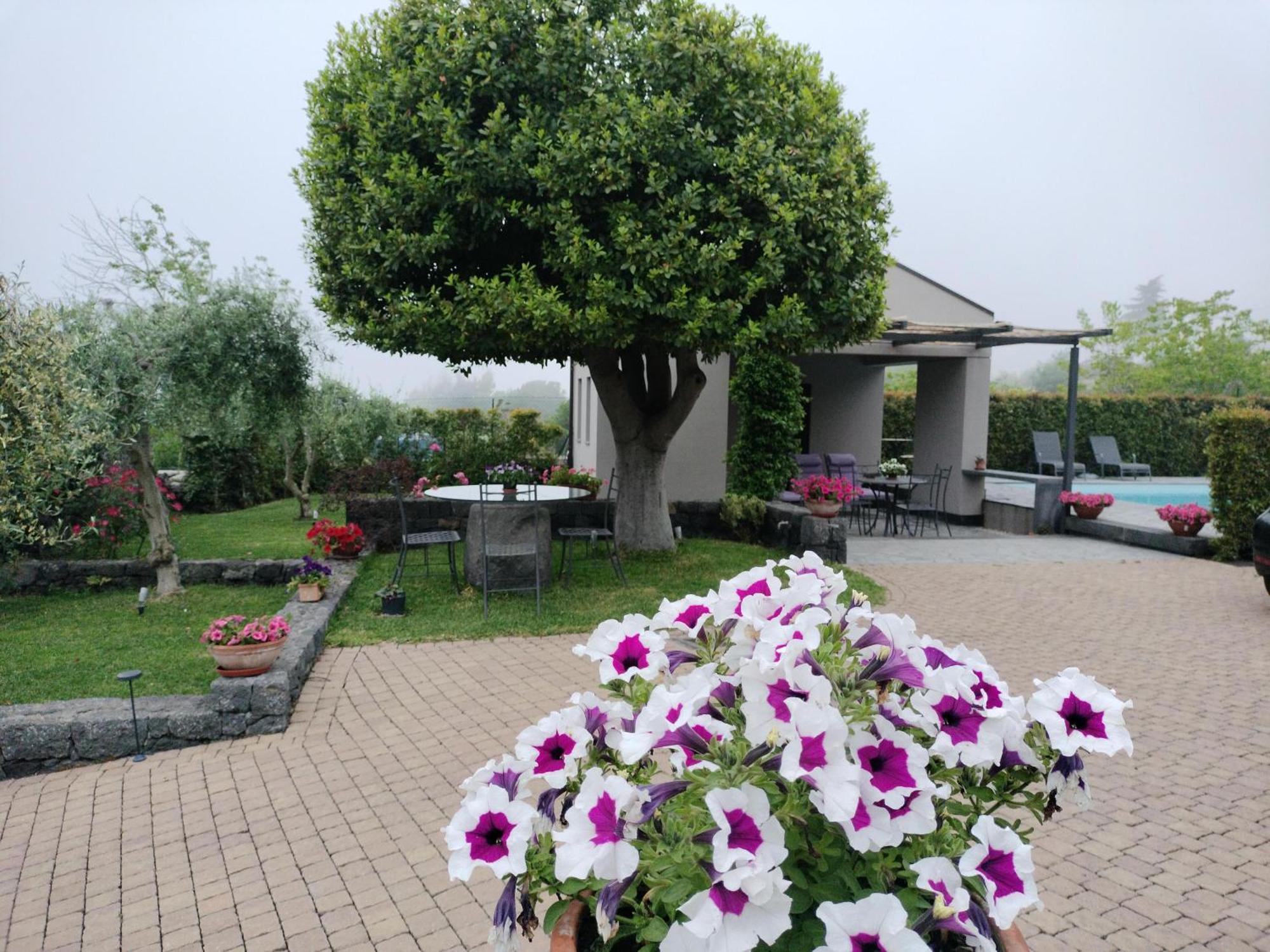 La Casa Dell'Alloro Zafferana Etnea Dış mekan fotoğraf